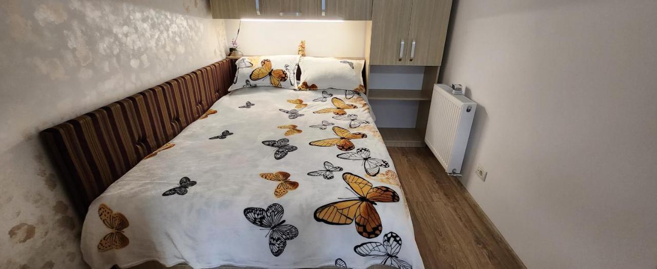 Butterfly Apartment Timişoara Exteriör bild