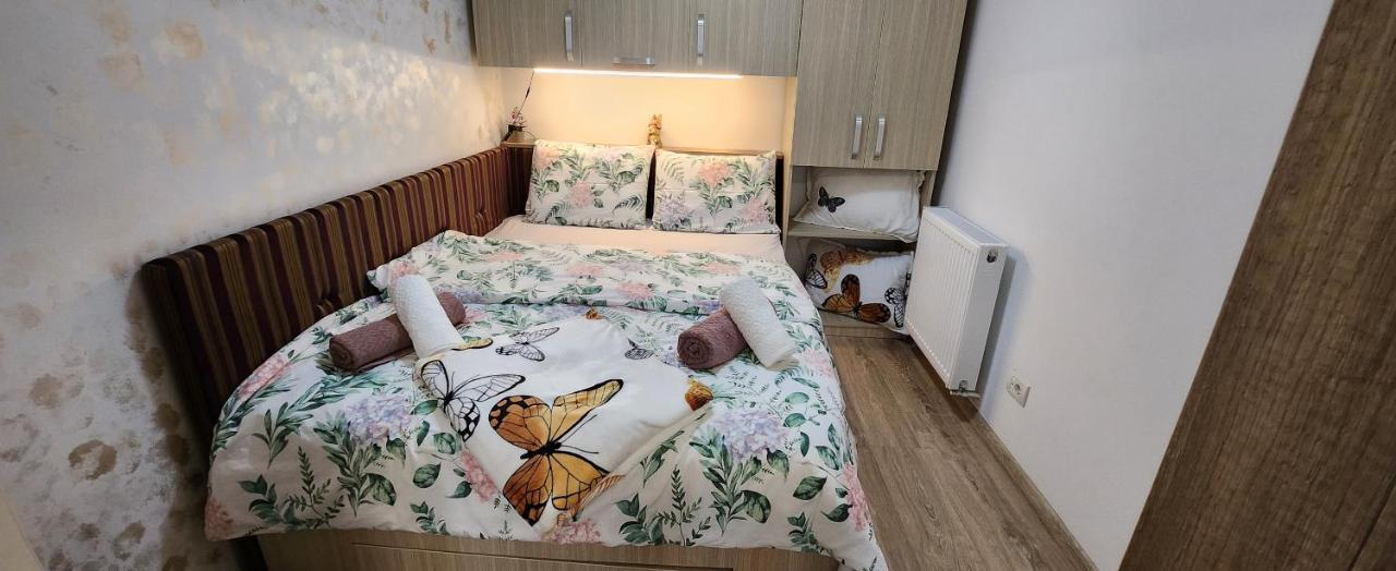 Butterfly Apartment Timişoara Exteriör bild
