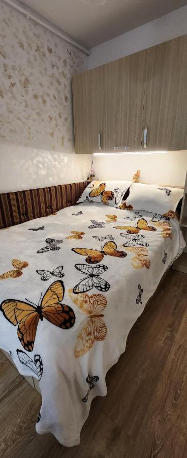 Butterfly Apartment Timişoara Exteriör bild